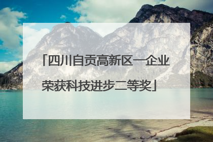 四川自贡高新区一企业荣获科技进步二等奖