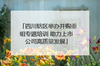 四川辖区举办并购重组专题培训 助力上市公司高质量发展