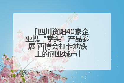 四川资阳40家企业携“拳头”产品参展 西博会打卡地铁上的创业城市