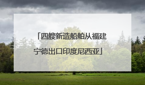 四艘新造船舶从福建宁德出口印度尼西亚