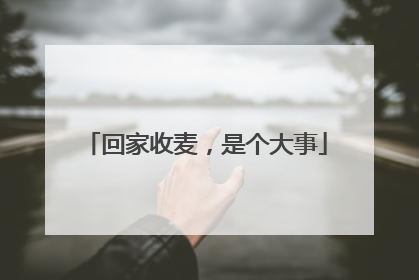 回家收麦，是个大事