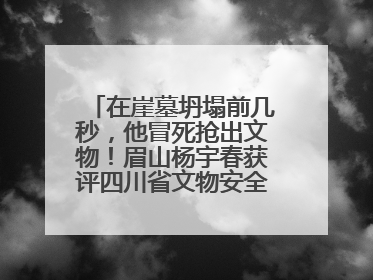 在崖墓坍塌前几秒，他冒死抢出文物！眉山杨宇春获评四川省文物安全守护者