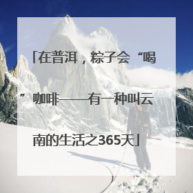 在普洱，粽子会“喝”咖啡——有一种叫云南的生活之365天