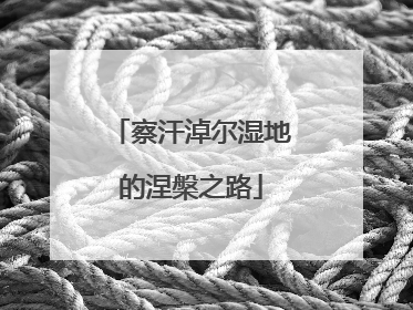 察汗淖尔湿地的涅槃之路