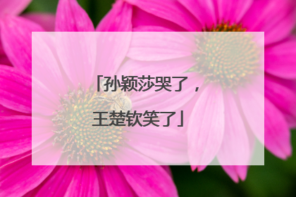 孙颖莎哭了，王楚钦笑了