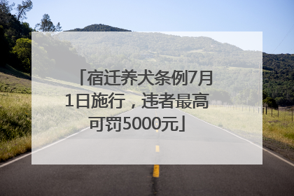 宿迁养犬条例7月1日施行，违者最高可罚5000元