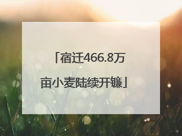 宿迁466.8万亩小麦陆续开镰