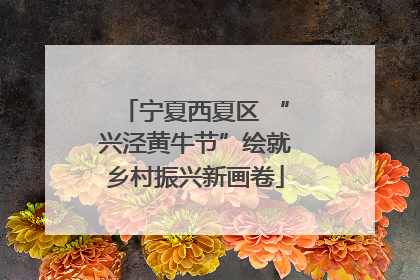 宁夏西夏区 “兴泾黄牛节”绘就乡村振兴新画卷