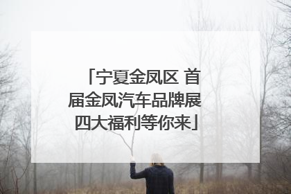 宁夏金凤区 首届金凤汽车品牌展四大福利等你来