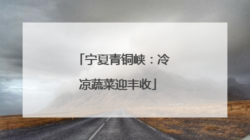 宁夏青铜峡：冷凉蔬菜迎丰收