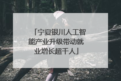 宁夏银川人工智能产业升级带动就业增长超千人