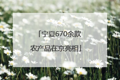 宁夏670余款农产品在京亮相