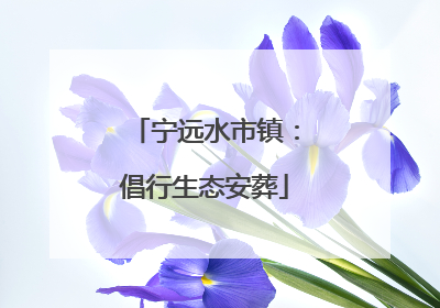 宁远水市镇：倡行生态安葬
