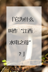 它为什么叫作“江西水电之母”？