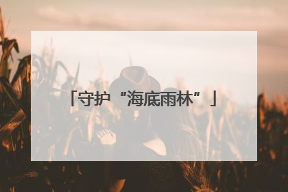 守护“海底雨林”