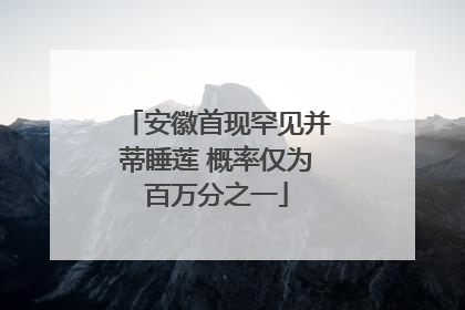 安徽首现罕见并蒂睡莲 概率仅为百万分之一