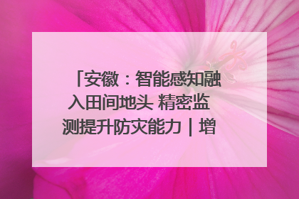 安徽：智能感知融入田间地头 精密监测提升防灾能力｜增发国债气象项目落地见效系列报道