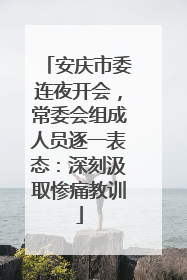 安庆市委连夜开会，常委会组成人员逐一表态：深刻汲取惨痛教训