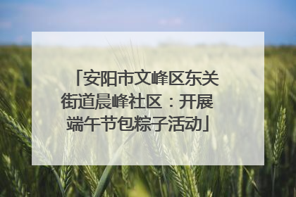 安阳市文峰区东关街道晨峰社区：开展端午节包粽子活动