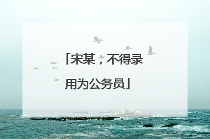 宋某，不得录用为公务员