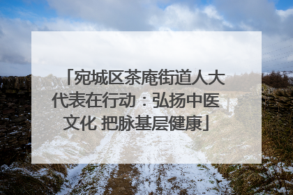 宛城区茶庵街道人大代表在行动：弘扬中医文化 把脉基层健康