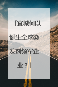 宜城何以诞生全球染发剂领军企业？