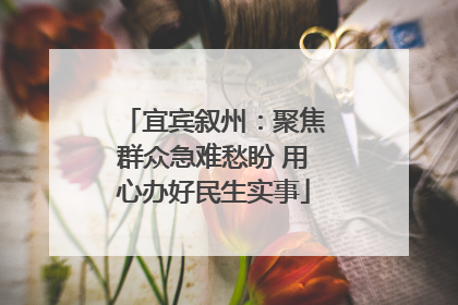 宜宾叙州：聚焦群众急难愁盼 用心办好民生实事
