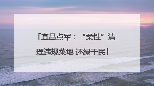 宜昌点军：“柔性”清理违规菜地 还绿于民