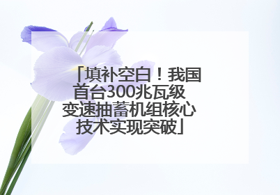 填补空白！我国首台300兆瓦级变速抽蓄机组核心技术实现突破