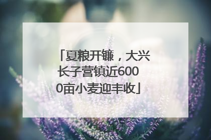 夏粮开镰，大兴长子营镇近6000亩小麦迎丰收