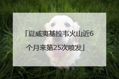 夏威夷基拉韦火山近6个月来第25次喷发