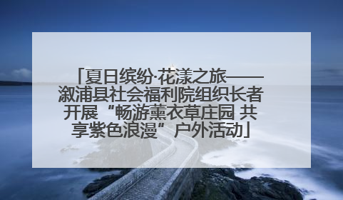 夏日缤纷·花漾之旅——溆浦县社会福利院组织长者开展“畅游薰衣草庄园 共享紫色浪漫”户外活动