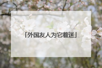 外国友人为它着迷