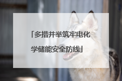多措并举筑牢电化学储能安全防线