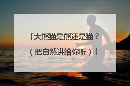 大熊猫是熊还是猫？（把自然讲给你听）