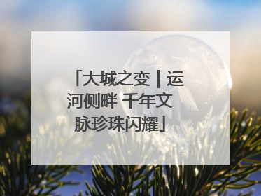 大城之变｜运河侧畔 千年文脉珍珠闪耀