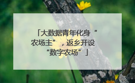 大数据青年化身“农场主”，返乡开设“数字农场”