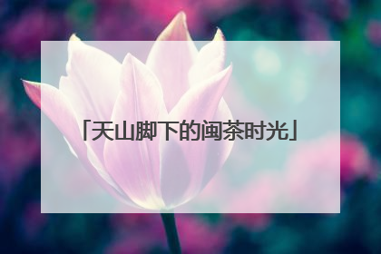 天山脚下的闽茶时光