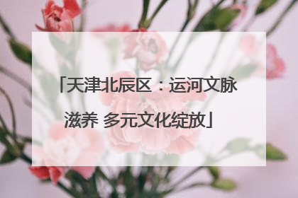 天津北辰区：运河文脉滋养 多元文化绽放