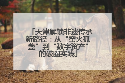 天津解锁非遗传承新路径：从“窑火孤盏”到“数字资产”的破圈实践