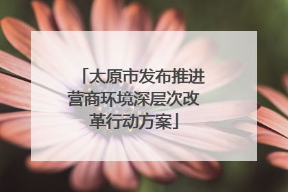 太原市发布推进营商环境深层次改革行动方案