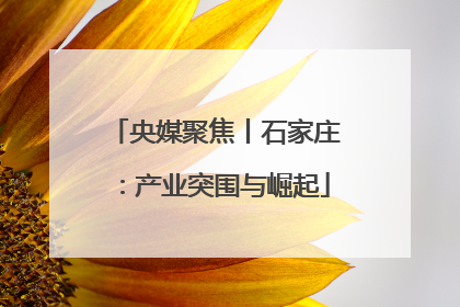 央媒聚焦丨石家庄：产业突围与崛起