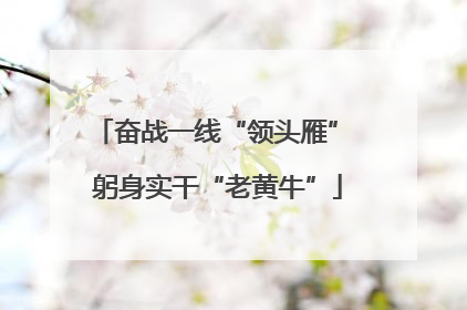 奋战一线“领头雁” 躬身实干“老黄牛”