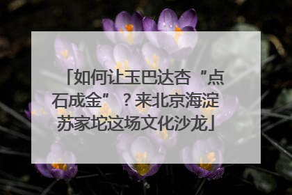 如何让玉巴达杏“点石成金”？来北京海淀苏家坨这场文化沙龙