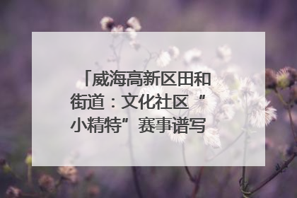 威海高新区田和街道：文化社区“小精特”赛事谱写文化赋能新乐章
