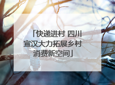 快递进村 四川宣汉大力拓展乡村消费新空间