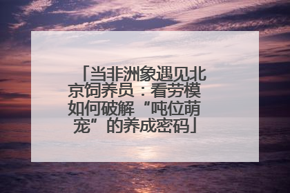 当非洲象遇见北京饲养员：看劳模如何破解“吨位萌宠”的养成密码