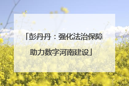 彭丹丹：强化法治保障 助力数字河南建设