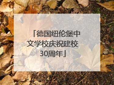 德国纽伦堡中文学校庆祝建校30周年