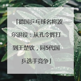 德国乒乓球名将波尔退役：从孔令辉打到王楚钦，同5代国乒选手竞争